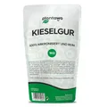 Produktbild: PLANTAWA Kieselgur Pulver 1kg | Hochwertiges Diatomeenerde für den Gemüsegarten, Schädlingsbekämpfung, Saatgutkonservierung | Nachhaltig und Rein, Verpackung kann variieren