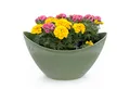 Produktbild: matches21 HOME & HOBBY Blumentopf Hohe Pflanzschale oval Vintage oliv-grün 20 x 12 cm wetterfest (1 St), Schiffchen Deko-Schale als Tischdeko Blumen-Schale Outdoor Garten-Deko
