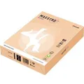 Produktbild: Maestro Color Kopierpapier A4 80g 500Bl lachs (80 g/m², 500 x, A4) (9417-SA24A80S)