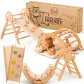 Produktbild: Goodevas 5-in-1 Montessori Klettergerüst Set: Indoor Kletterdreieck, Kletterbogen mit Kissen, und Rutsche für Kinder, Indoor Spielplatz 1-3 Jahre