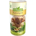 Produktbild: Premium Katzengras Samen Chrestensen, Grassamen schnellkeimend, 1 Dose 110 g, reicht für ca. 4-5 m² Katzengras fertig gewachsen, Natürliche Katzen Leckerlies zu Hause