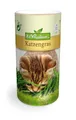 Produktbild: Katzengras  4-5 m² Streudose Saatgut 6002
