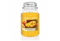 Produktbild: Yankee Candle Duftkerze Yankee Candle Mango Peach Salsa Duftkerze im Glas 623g Brenndauer bis