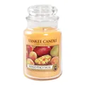 Produktbild: Yankee Candle Mango Peach Salsa Grosses Glas 623 g