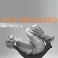 Produktbild: At First Light von Silje Nergaard, Jarle Vespestad | CD | Zustand gut