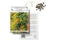 Produktbild: HappySeed Blumensamen Schwarzäugige Susanne - Thunbergia alata, Blumen