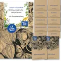 Produktbild: Magic Garden Seeds - Mitteleuropäische Heilpflanzen Saatgut Set - 12 traditionelle Kräutersorten der Volksmedizin - Alte Sorten - Garten Zubehör - Pflanzen Samen - Geschenk für Gartenliebhaber