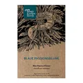 Produktbild: Blaue Passionsblume (Passiflora caerulea) - ca. 10 Samen