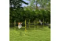 Produktbild: PawHut Agility-Hürde Slalom Stangen, Hunde Training Set, Kunststoff, Hunde Hürden-Set (4-tlg) für Hunde, Gelb