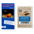 Produktbild: Triops Zuchtansatz Natur-Erlebnis-Set - ca. 100 Urzeitkrebse Eier mit Anleitung