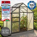 Produktbild: BRAST Gewächshaus Aluminium mit Fundament | 130x190x195cm | 6mm Hohlkammerplatten | rostfrei wetterfest temperaturbeständig | Grau