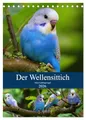 Produktbild: Der Wellensittich - Mein Lieblingsvogel (Tischkalender 2026 DIN A5 hoch), CALVENDO Monatskalender: Der neue Wellensittichkalender - vom kleinen ... und aussagekräftig! (CALVENDO Tiere)