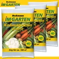 Produktbild: Beckmann 3 x 5 kg Kalimagnesia Bio Kalium Magnesium Chloridarm