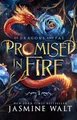 Produktbild: Promised in Fire